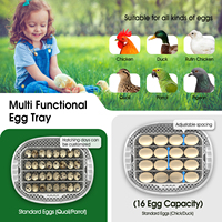Incubadora de Huevos Digital HHD WONEGG M16pro, Incubadora Totalmente Automática para Reptiles