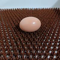Coussinets de nidification pour poules, boîtes à œufs en plastique lavables, tapis en herbe artificielle pour poules