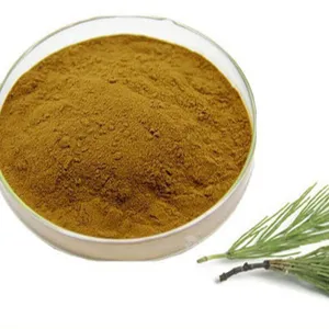 Horsetail Factory Direct Provide Horsetail Extract