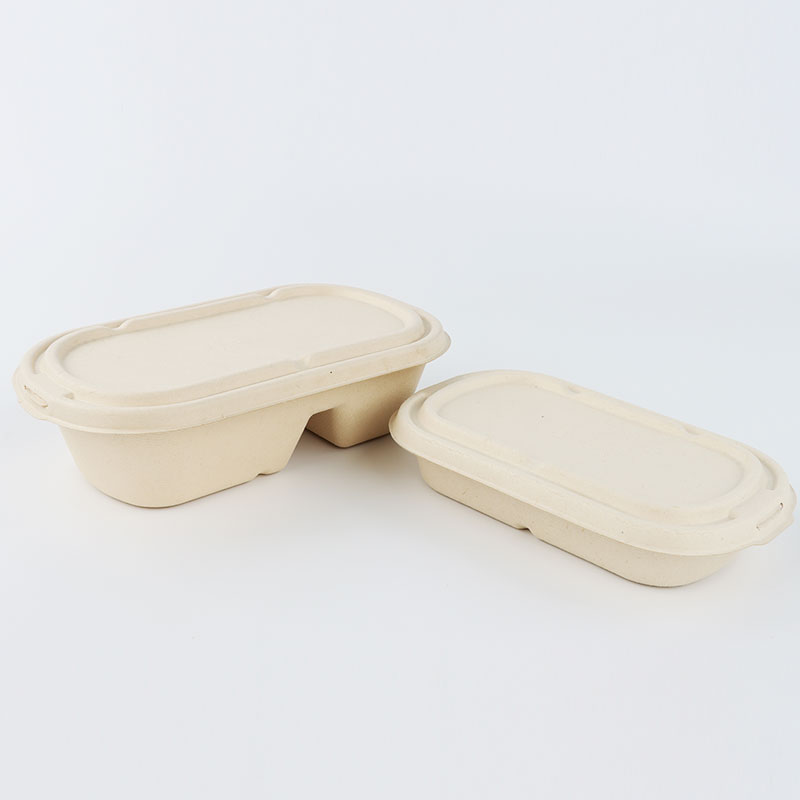 Disposable Biodegradable Heat Seal Bagasse Take-away Food Container