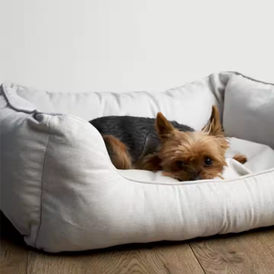 Couverture de canapé pour <span class=keywords><strong>chien</strong></span> OEM en peluche écologique pour chiens de petite, moyenne et grande taille, motifs unis, tapis, <span class=keywords><strong>banc</strong></span>, transat - Product Image 3