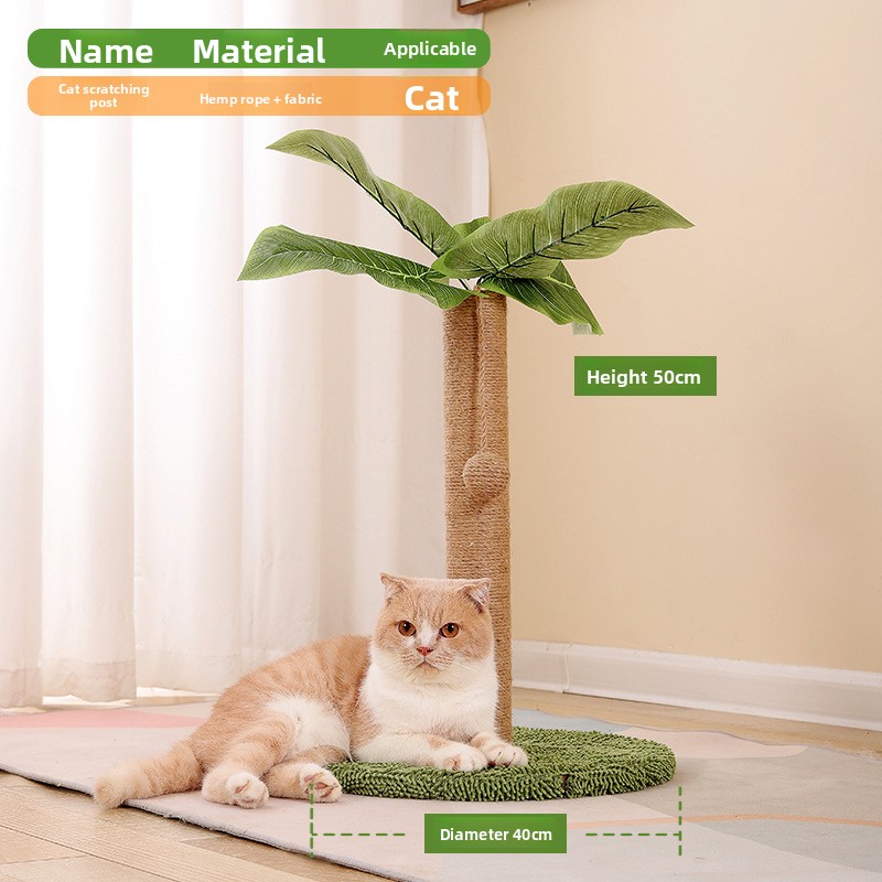 Green Daylily with a single stem