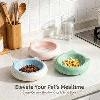 Bol à nourriture pour chien et chat en céramique moderne anti-étouffement ergonomique pour poisson, portable, étanche, utilisation en extérieur