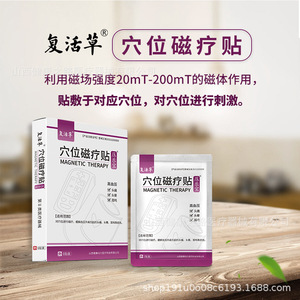 Parche de terapia magnética Fu Hua Cao Acupoint, 6 piezas, alivio de la presión arterial para dolor de cabeza, mareos, tinnitus, dispositivo médico de clase II - Product Image 2