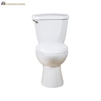 Inodoro sifónico de dos piezas de artículos sanitarios a precio de fábrica barato con inodoro de descarga lateral para Baño