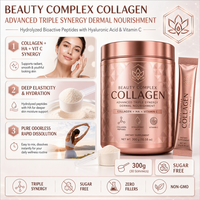 Collagène, acide hyaluronique, vitamine C, poudre de collagène beauté, formule composée pour la beauté intérieure, bien-être féminin, étiquette privée, OEM personnalisé