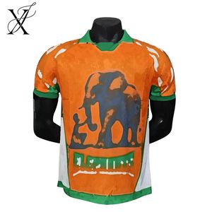 Futbol Forması Hafif Profesyonel Fildişi Sahili Kültürü Esintili Futbol - Product Image 1