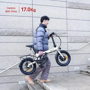 36V 250W 6.4AH poids léger 16 pouces LG Lithium batterie ville route électrique vélo électrique pliant mini e vélo avec entraînement par courroie en carbone