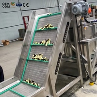 Machine de déshuileage et de déshydratation pour frites et chips à petite échelle