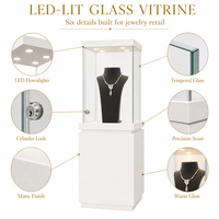 Vitrine de présentation pour bijouterie, cadre métallique sur mesure, base en bois, verre trempé, vitrine LED, équipement de vente en gros