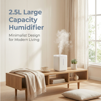 Humidificateur d'air minimaliste 2,5 L en PP sûr pour huiles essentielles, réservoir d'eau détachable, diffuseur d'arômes ultrasonique silencieux, lumière douce