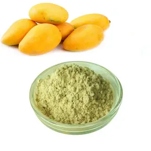 Mango blattex trakt pulver Mangiferin 95% Pulver zusatz