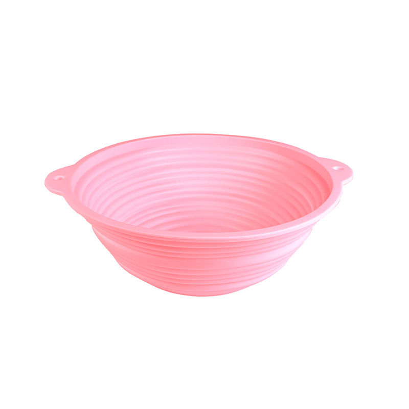 Rosa 1