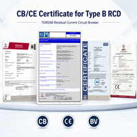 Dispositivo de Corriente Residual (RCD) Tipo B de 10kA, 2P, con Certificado CB/CE, 63A, 30-300mA, Interruptor de Circuito para Carga de Vehículos Eléctricos (VE) Chayo