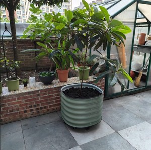 Kits de jardinières ovales surélevées <span class=keywords><strong>en</strong></span> métal, bacs à fleurs avec roulettes au fond - Product Image 4
