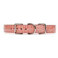 Collier pour chien en similicuir texturé alligator classique OEM, surface lisse, quincaillerie argentée, taille réglable, pour la promenade quotidienne