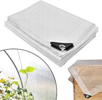 Bâche transparente Leno pour jardin, serre, couverture de sol, résistante, imperméable, 100 g/m², renforcée, transparente