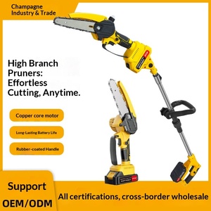 <span class=keywords><strong>Sega</strong></span> Elettrica Telescopica per Potatura Rami Alti, Senza Spazzole, Ricaricabile con <span class=keywords><strong>Batteria</strong></span> al Litio, per Rami Spessi, Arboricoltura e Alberi da Frutto - Product Image 4