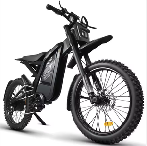 Motocicleta Todoterreno de Alto Rendimiento GT2000 - Product Image 3