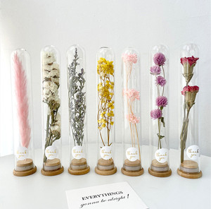 E77 Vente chaude Ensemble cadeau de fleurs séchées naturelles en tube de verre Pampas Fleurs séchées blanches et roses conservées avec du verre - Product Image 1
