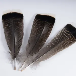 Cheap sale white tip Turkey wing tail feathers for hats millinery carnival headdress decoration