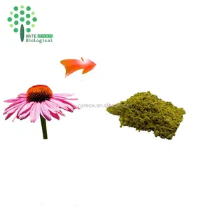 Natürlicher Echinacea Purpurea Extrakt CAS 6537-80-0 Cichors äure 6% Bulk Pulver