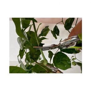 PC-803 7-1/2 "190mm Ciseaux de coupe de fleurs droits Sécateur de haute qualité pour l'entretien du jardin - Product Image 6