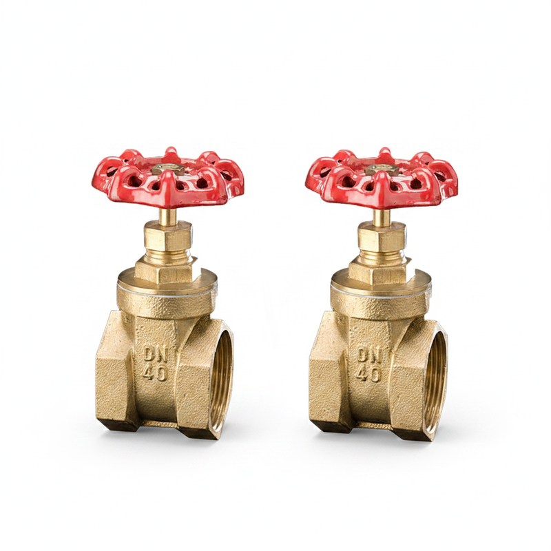 DN20 Brass Gate Valve Two Way