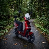Trottinette Électrique Urbaine Sans Balais avec GPS Numérique 500W/1000W, Capacité 200kg, 25km/h, Double Suspension, Batterie Lithium Étanche
