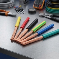 Câble d'alimentation basse tension en cuivre XLPE PVC YJV YJLV NYY N2XY BS5467 AS/NZS5000.1 IEC CE RoHS