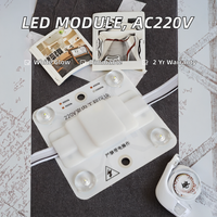 Modules LED AC220V 110V avec 4 LED IP20 Blanc froid 6000K Angle de vision 120° CRI élevé 80 Dimmable Garantie 2 ans 90 Lm/W