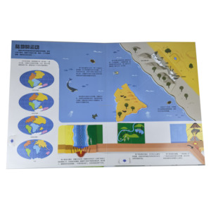 Libro di fabbrica Lift-the-Flap in che modo la terra gestisce un libro di cartone personalizzato - Product Image 6