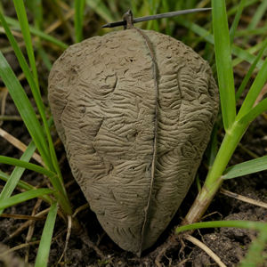 Nido de Avispa Simulado, Panal de Abejas, Adorno para Exteriores, para Jardín, Paisajismo y Caza - Product Image 5