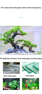 <span class=keywords><strong>Aquarium</strong></span> de bureau moderne et écologique en verre carré ultra-transparent de qualité supérieure pour salon et chambre à coucher - Product Image 3