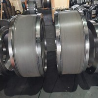 Moule annulaire de qualité supérieure à bon prix Van Aarsen C900-325, directement de l'usine, pour machine à granulés, granulateur, disque matriciel C900-325