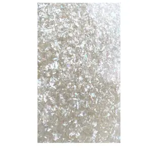 XE-031 Natural White Abalone Shell Sheet Hot Sale Abalone Shell Sheets Mother Of Pearl Shell Sheets For Sale