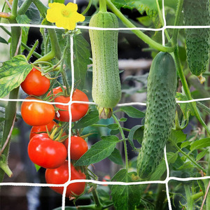 Wholesale Polyester Nylon Mesh Cucumber Net Trellis Netting for Beans <strong>Grapes</strong> Tomatoes - Product Image 2