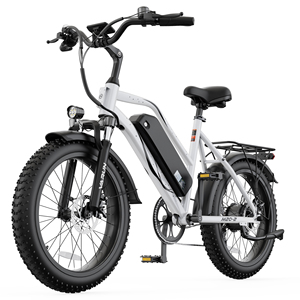 Envío a granel desde almacén en EE. UU. Bicicleta eléctrica con llantas gruesas de 20 pulgadas, motor de 750W, cuadro de acero al carbono, 60 millas de autonomía, suspensión delantera, todoterreno - Product Image 1