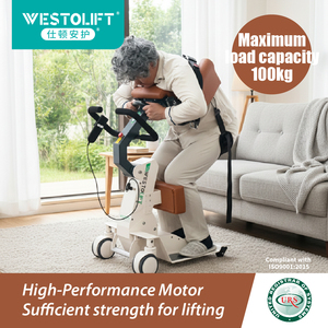 Portable Electric <strong>Hoist</strong> 100kg With Emergency Stop - ISO Certified Lightweight Lift For Asian Elderly Safety - Product Image 4