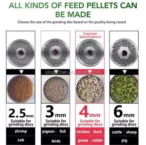 Máquina Compacta para Producción de Pienso en Pellets para Aves de Corral y Ganado, 200-400 kg/h, <span class=keywords><strong>Jordan</strong></span>, con Manual de Operación en Video y 1 Año de Garantía - Product Image 6