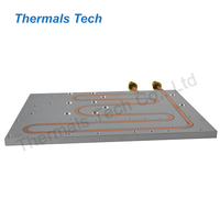 Plaque froide de grande taille 1500W, dissipateur thermique à eau de 500 mm pour batterie d'alimentation