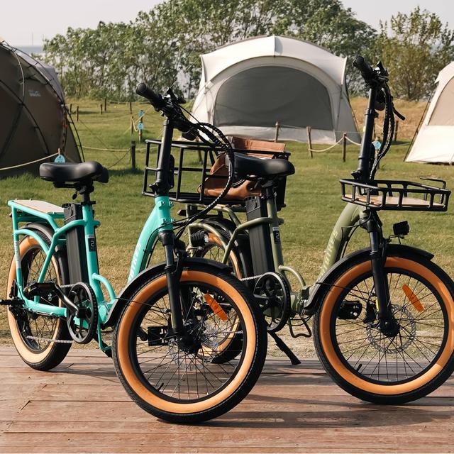Factory 750W Fordable Light Fat Tire Cargo Electric Bike Powerful All Terrain City Commute US Standard OEM for Adult