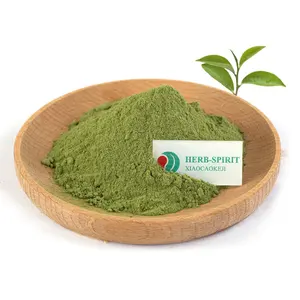 Neuankömmling Matcha Grüntee Pulver Bio Matcha Grüntee Pulver Matcha Aroma Produkte