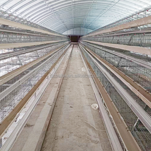 Nuova condizione BT marca 3-strati in acciaio zincato a strato di pollame gabbia controllo accurato della temperatura per pollo allevamento batteria - Product Image 1