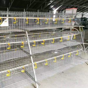 Système de cages en batterie en acier galvanisé de type A pour poules pondeuses, très demandé sur le marché africain, pour fermes avicoles - Product Image 6