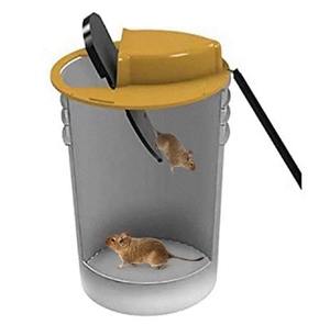 Estación de Cebo para Roedores Reutilizable de ABS, Venta al por Mayor de Fábrica, Trampa para Ratones Ecológica y Caja de Control de Plagas/Insectos de Estado Sólido - Product Image 1