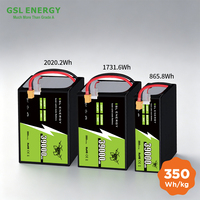 Batterie au lithium-ion à semi-conducteurs GSL ENERGY 14S 51.8V 39Ah 39000mAh 350Wh pour drone agricole UAV