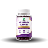 Gummies véganes OEM ODM à marque privée, mélange de 10 champignons (Crinière de lion, Reishi), aux baies naturelles, pour la concentration cérébrale et le bien-être immunitaire, certifiées GMP