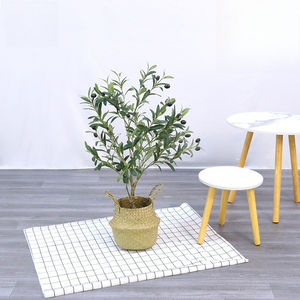 ต้นมะกอกเทียม, ต้นไม้ประดิษฐ์สไตล์นอร์ดิกสำหรับตกแต่งบ้าน, ต้นไม้ปลอมในกระถาง, ต้นไม้ประดิษฐ์สำหรับตกแต่งภายใน, <span class=keywords><strong>บอน</strong></span>ไซประดิษฐ์ - Product Image 6