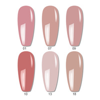 OEM Nouveau Design Populaire Été 6 Couleurs Nude Rose Set de Vernis à Ongles Gel Boîte Conception Libre Transparent Rose Collection de Vernis Gel